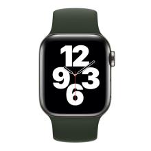 Монобраслет для Apple watch 40mm Cyprus Green Solo Loop